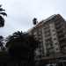 La palma, che proveniva dal cortile di un palazzo in procinto di essere abbattuto, fu ripiantato sulla piazza quasi ad angolo con via Niccol dellArca...